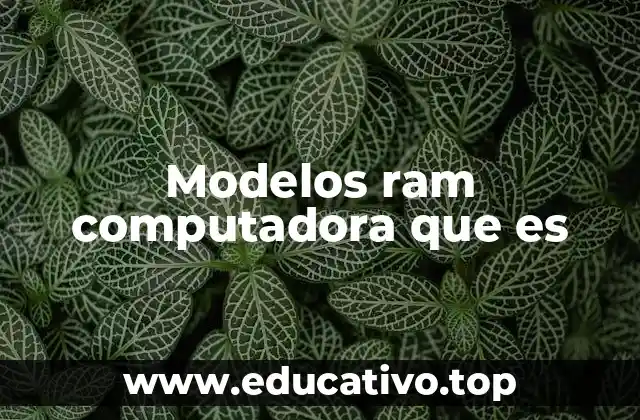 Modelos ram computadora que es