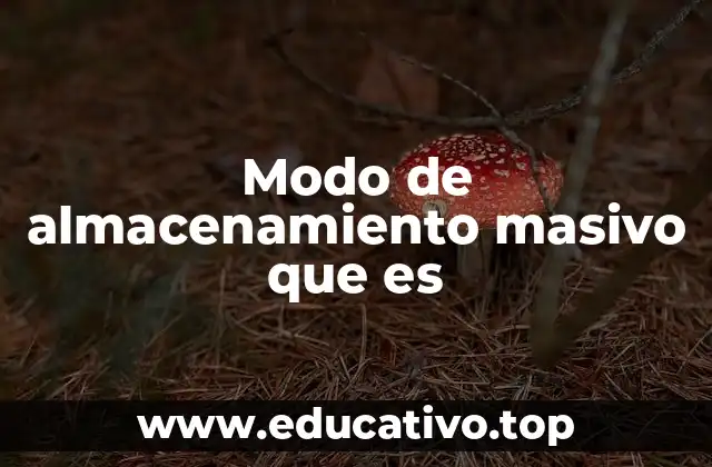 Modo de almacenamiento masivo que es