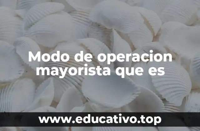 Modo de operacion mayorista que es