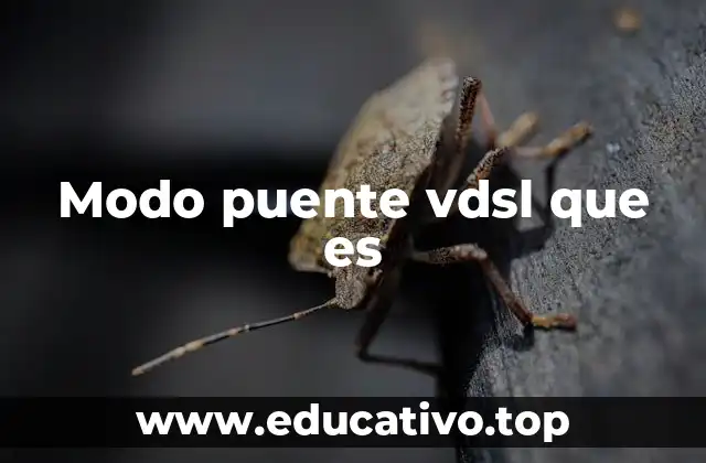 Modo puente vdsl que es