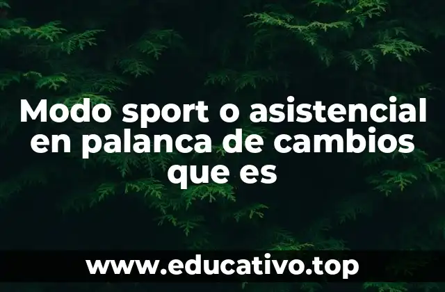 Modo sport o asistencial en palanca de cambios que es