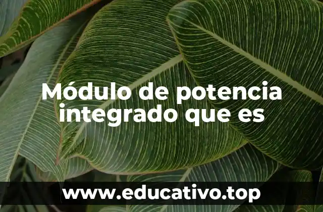 Módulo de potencia integrado que es