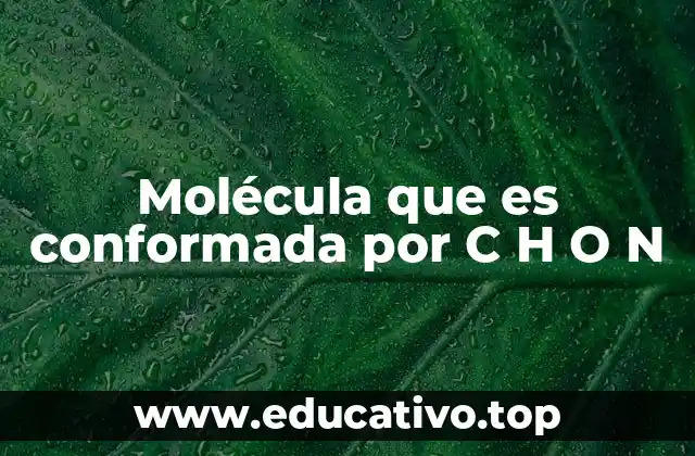 La importancia biológica de los compuestos C, H, O y N