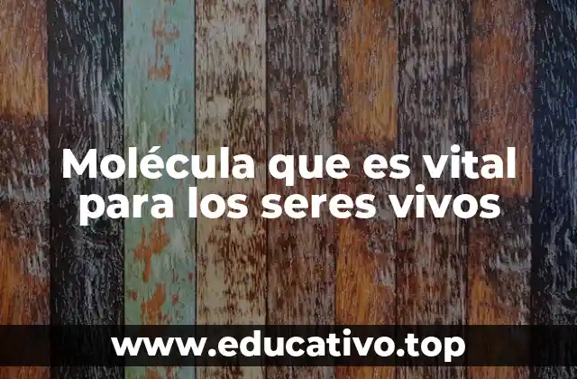 Molécula que es vital para los seres vivos