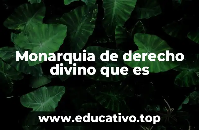 Monarquia de derecho divino que es