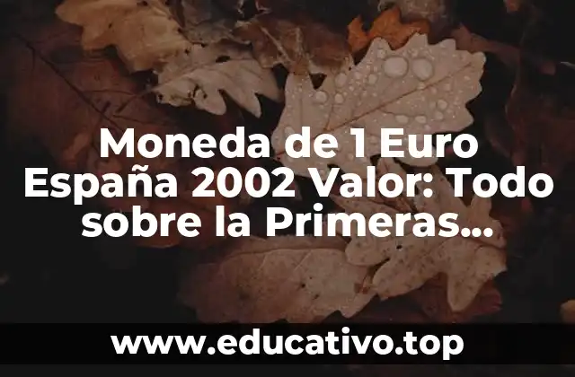 Moneda de 1 Euro España 2002 Valor: Todo sobre la Primeras Monedas de Euro en España