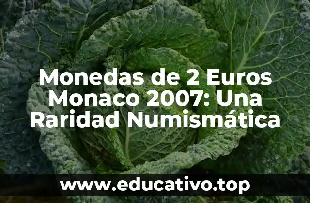 Monedas de 2 Euros Monaco 2007: Una Raridad Numismática