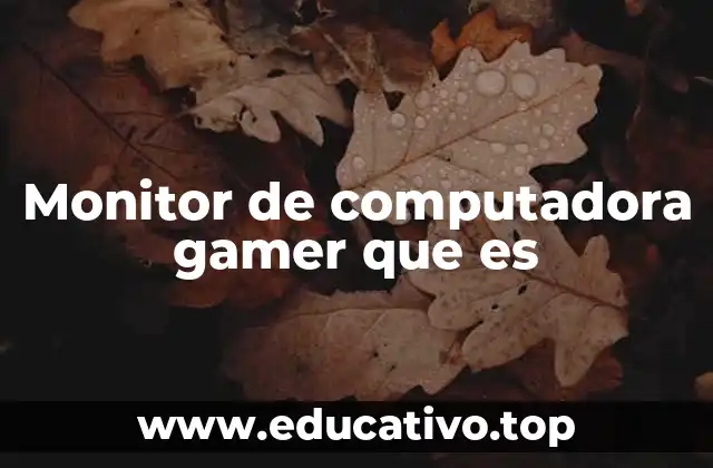 Monitor de computadora gamer que es