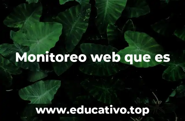 Monitoreo web que es