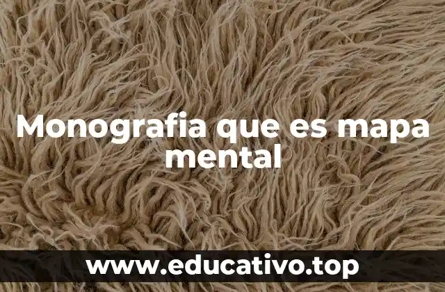 Monografia que es mapa mental