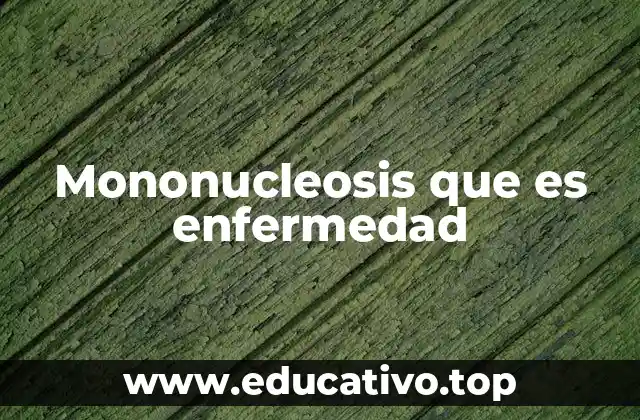 Mononucleosis que es enfermedad