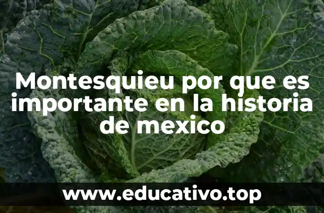 Montesquieu por que es importante en la historia de mexico
