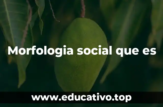 Morfologia social que es