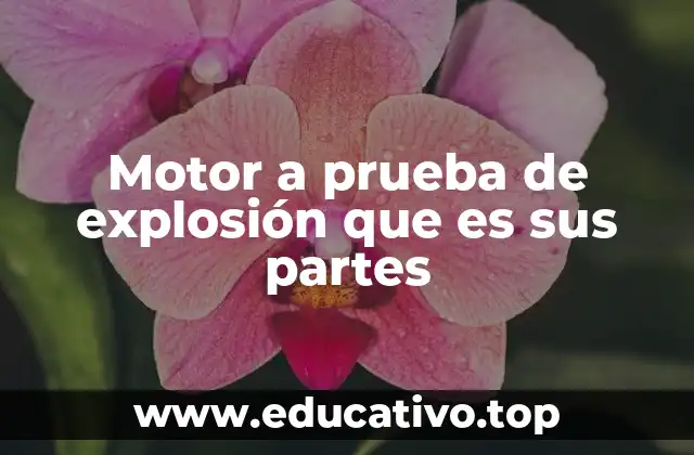 Motor a prueba de explosión que es sus partes