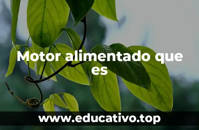 Motor alimentado que es