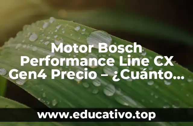 Motor Bosch Performance Line CX Gen4 Precio – ¿Cuánto Cuesta?