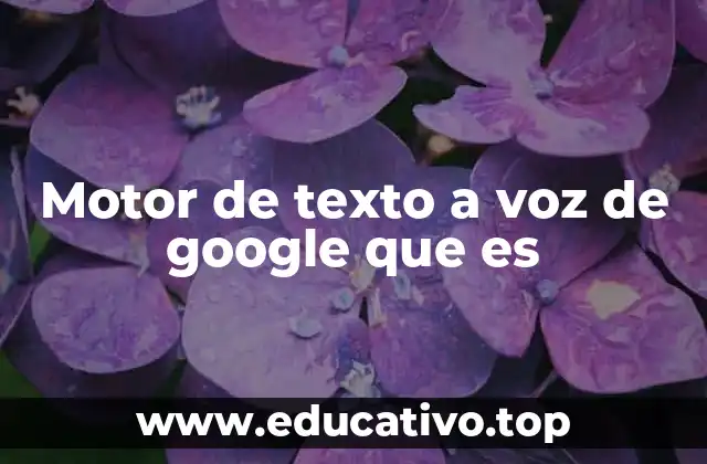 Motor de texto a voz de google que es