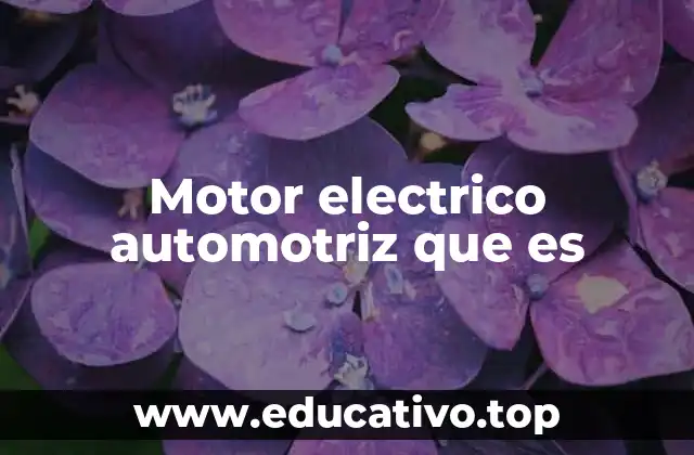 Motor electrico automotriz que es