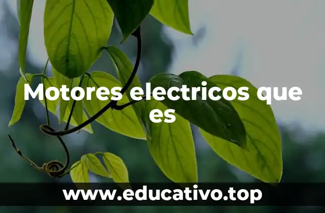 Motores electricos que es