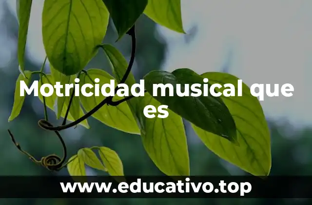 Motricidad musical que es