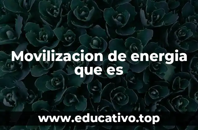Movilizacion de energia que es