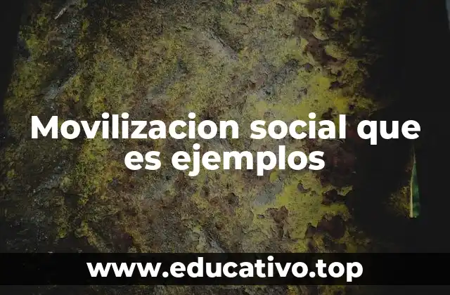 Movilizacion social que es ejemplos