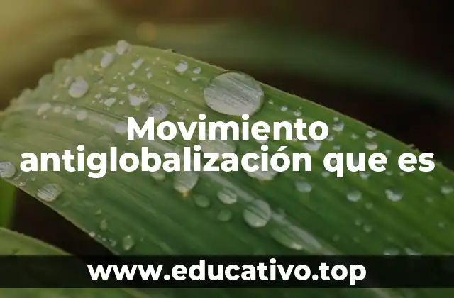 Movimiento antiglobalización que es
