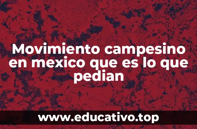 Movimiento campesino en mexico que es lo que pedian