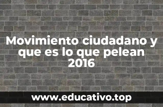 Movimiento ciudadano y que es lo que pelean 2016