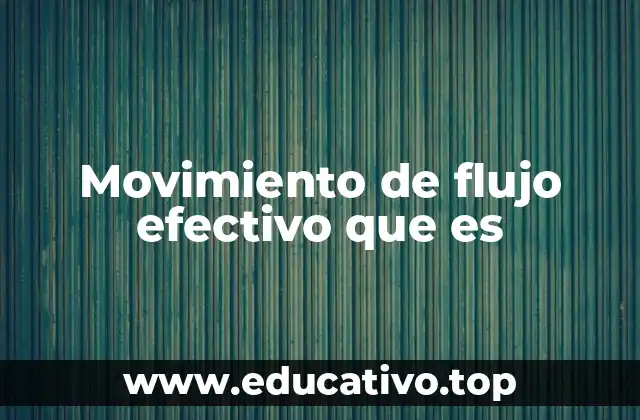 Movimiento de flujo efectivo que es