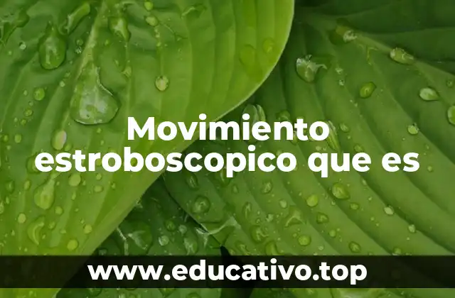 Cómo funciona la percepción del movimiento estroboscópico