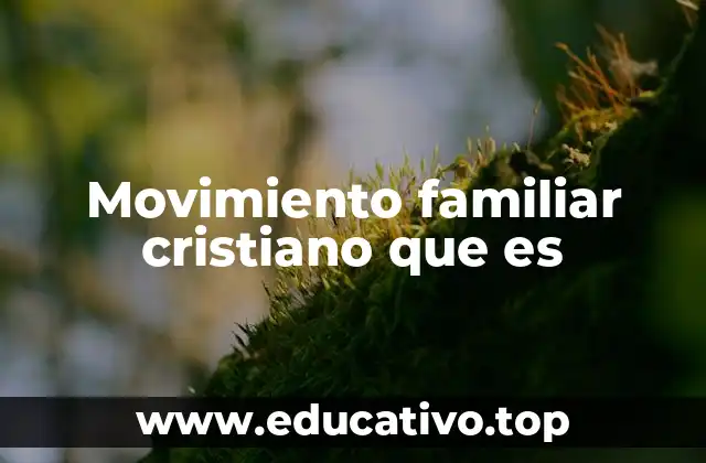 Movimiento familiar cristiano que es