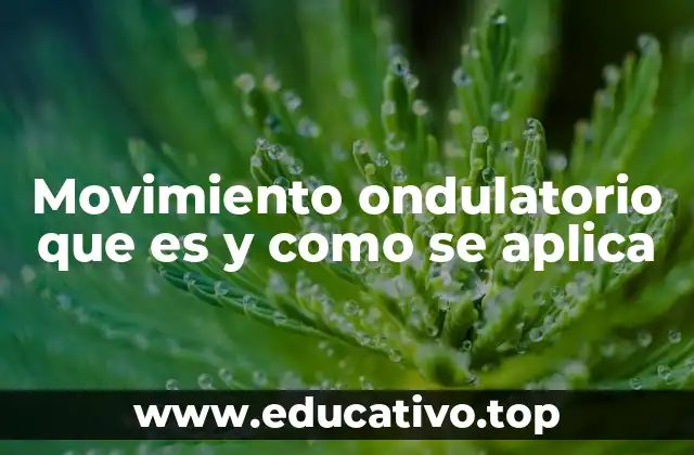 Movimiento ondulatorio que es y como se aplica