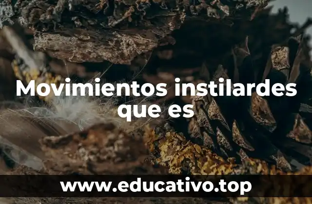 Movimientos instilardes que es
