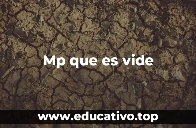 Mp que es vide