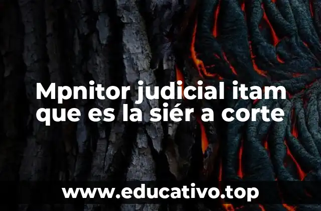 Mpnitor judicial itam que es la siér a corte