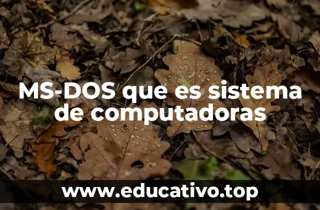 MS-DOS que es sistema de computadoras
