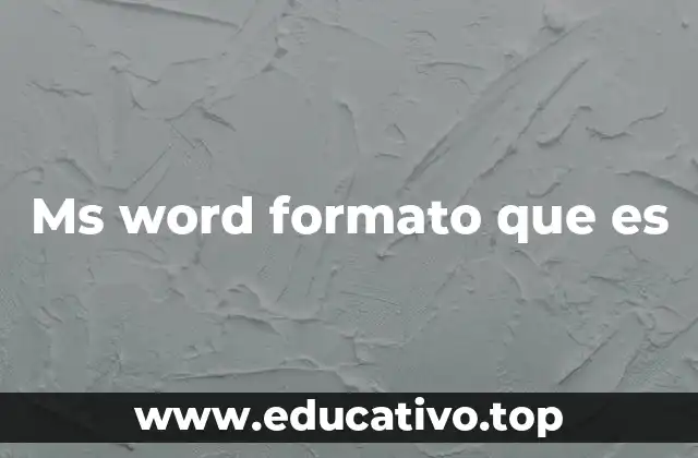 Ms word formato que es