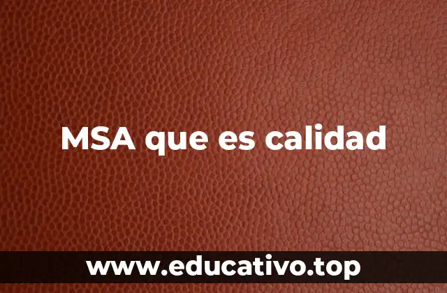 MSA que es calidad