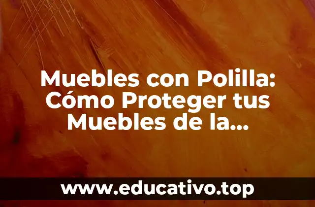 Muebles con Polilla: Cómo Proteger tus Muebles de la Deterioración