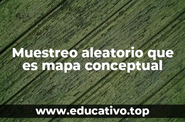 Muestreo aleatorio que es mapa conceptual