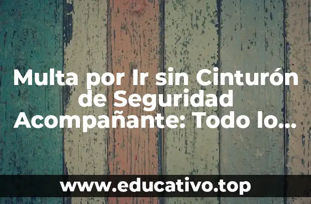 ¿Qué es la Multa por Ir sin Cinturón de Seguridad Acompañante?