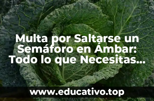 Multa por Saltarse un Semáforo en Ámbar: Todo lo que Necesitas Saber