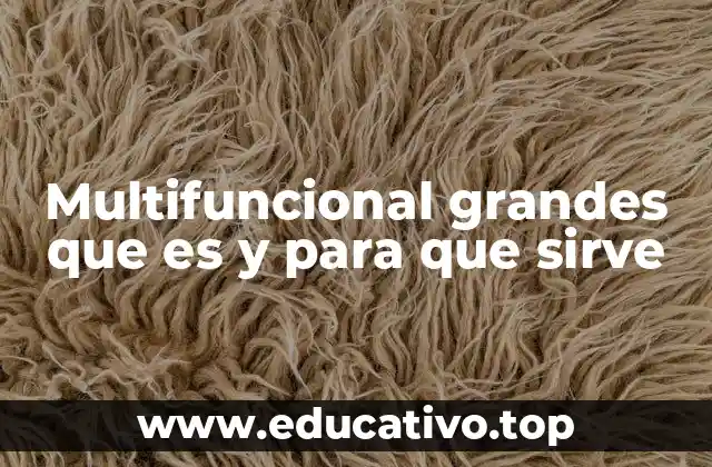 Multifuncional grandes que es y para que sirve