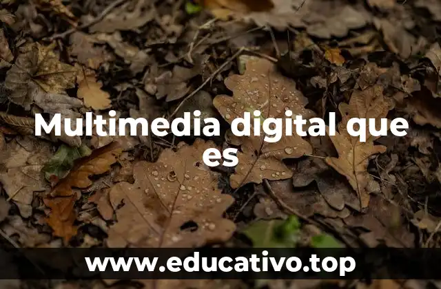 Multimedia digital que es