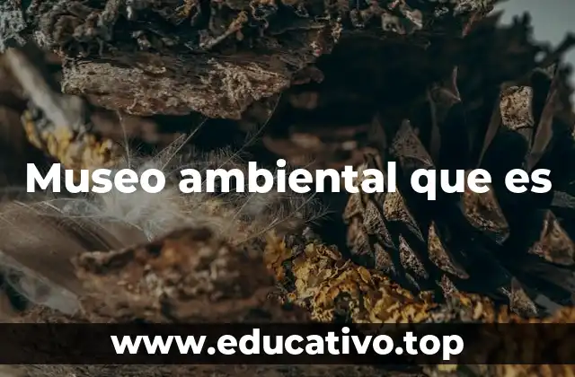 Museo ambiental que es