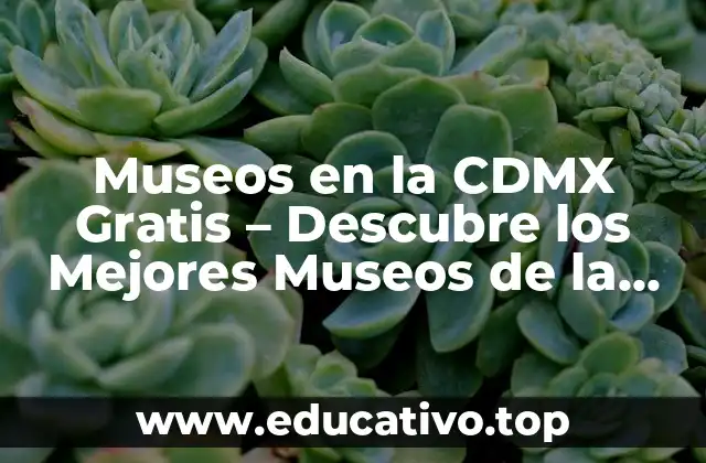 Museos en la CDMX Gratis – Descubre los Mejores Museos de la Ciudad de México