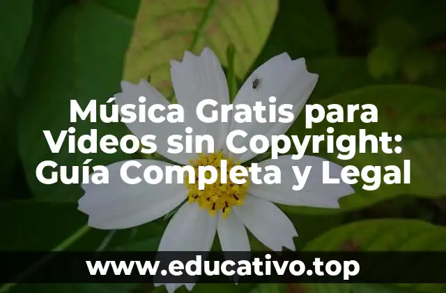 Música Gratis para Videos sin Copyright: Guía Completa y Legal