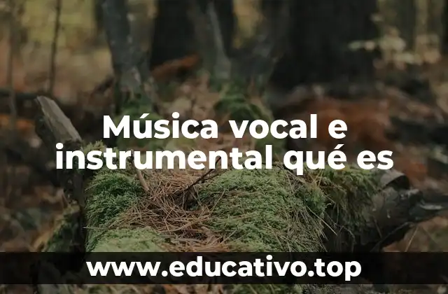 Música vocal e instrumental qué es