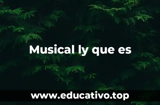Musical ly que es
